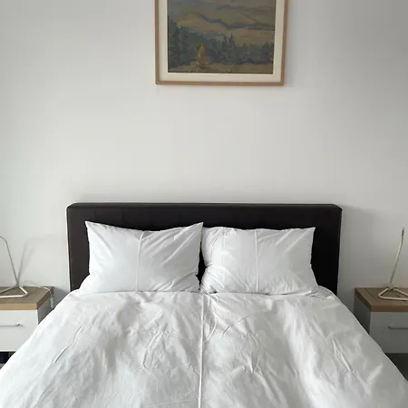 Modern 1-bed & Living Flat With Balcony, Parking * Kluž
